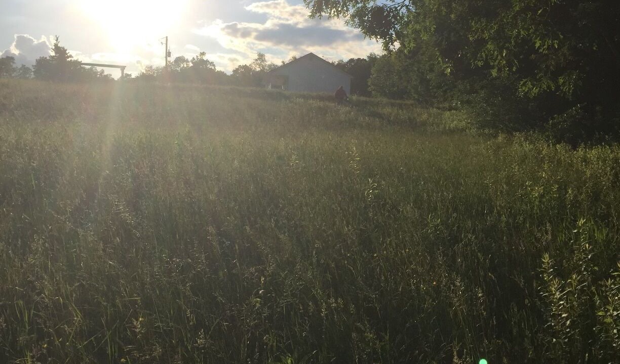 Photo of Others in Cool Ridge