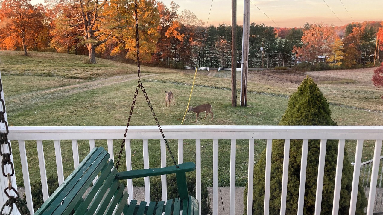Photo of Outdoor in Cool Ridge