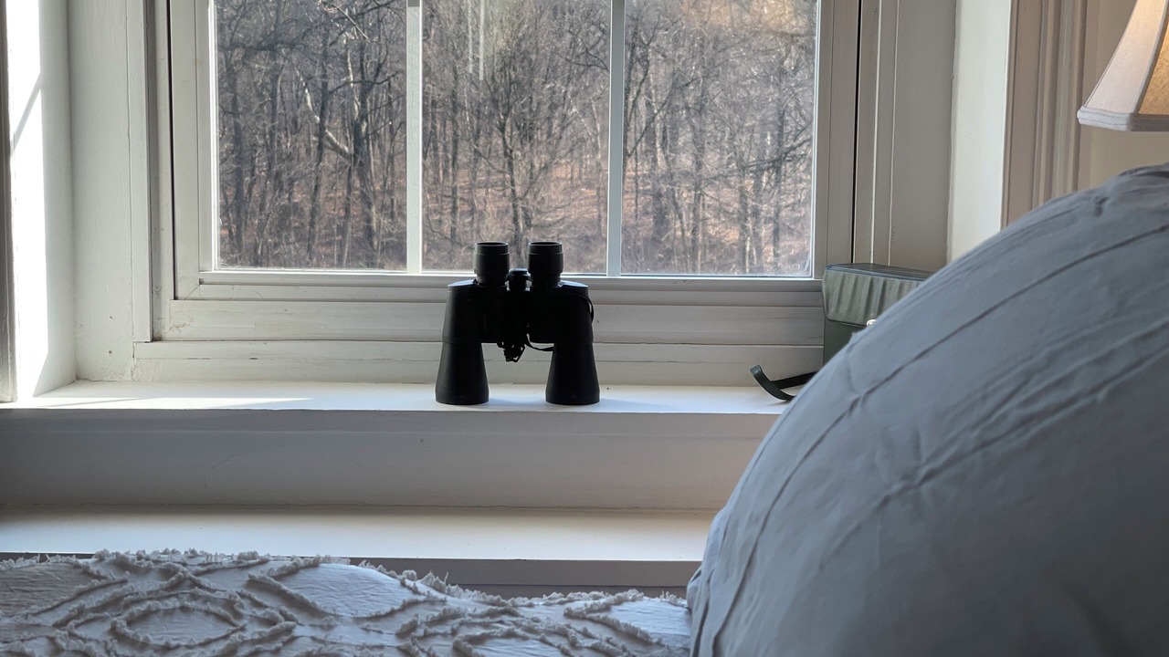 Photo of Bedroom in West Bristol