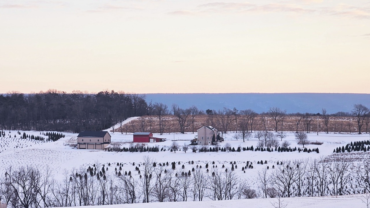 Photo of Others in Middleburg