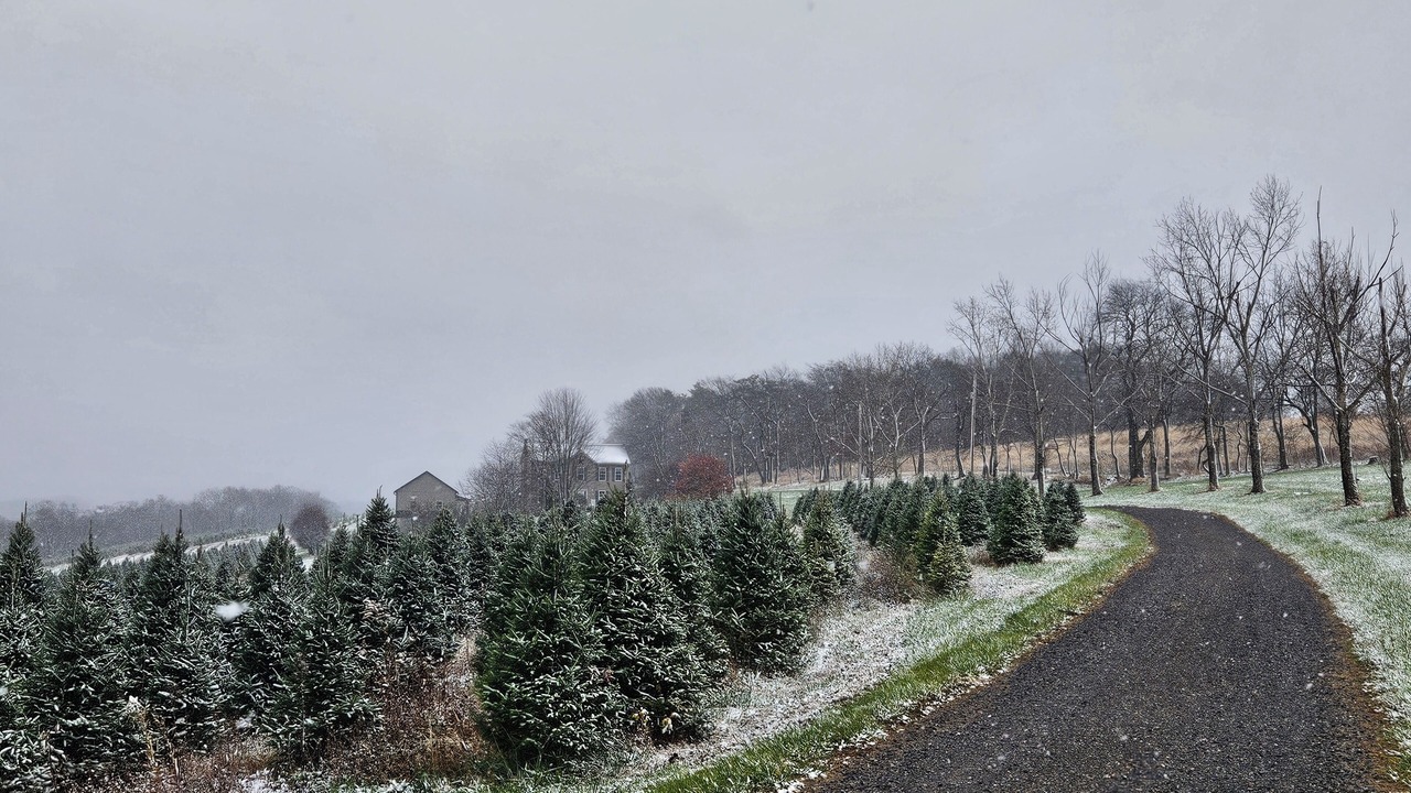 Photo of Others in Middleburg