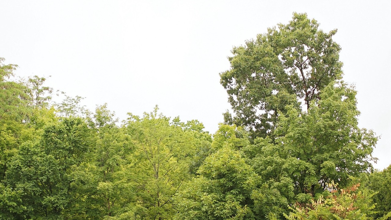 Photo of Outdoor in Athens