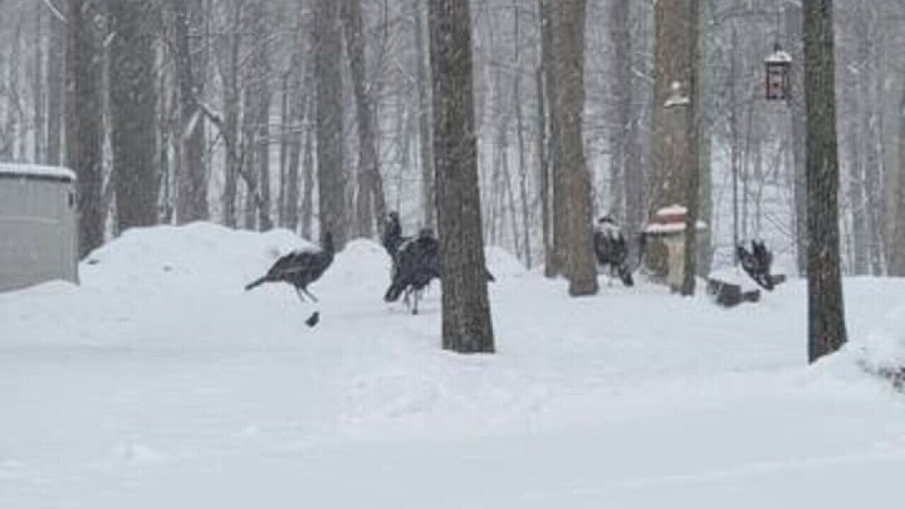 Photo of Others in Streetsboro