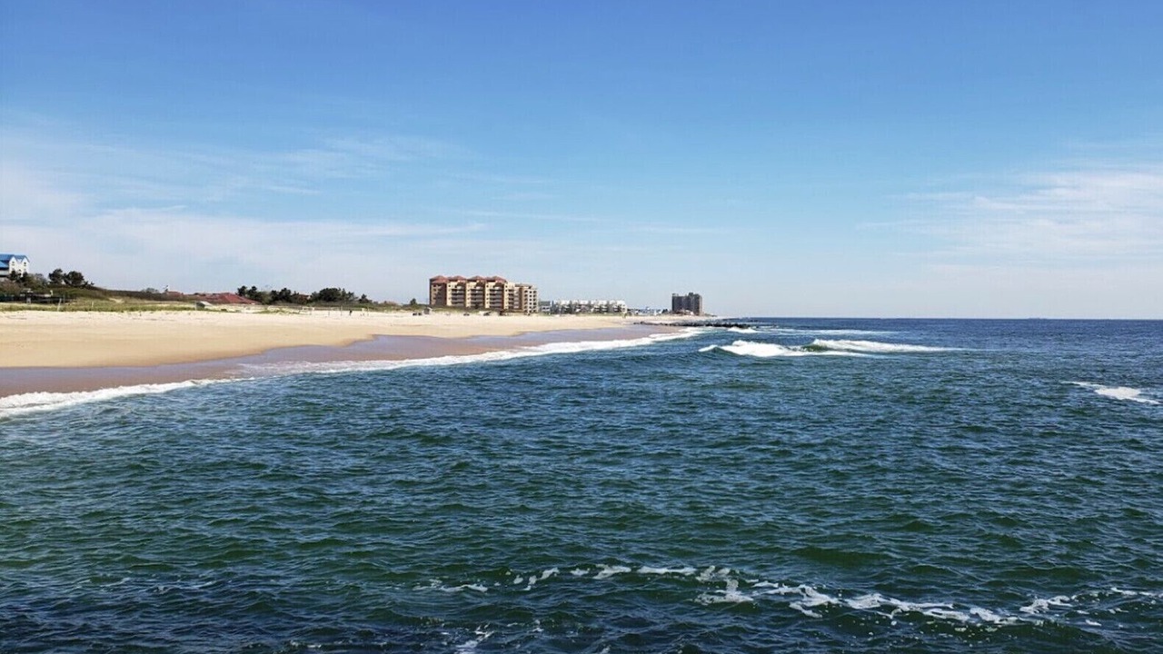 Photo of Others in Long Branch