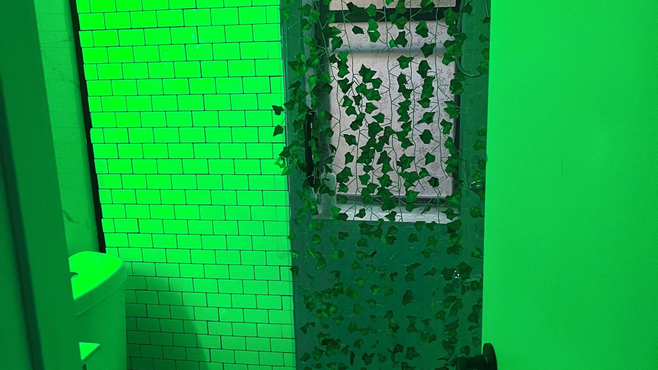 Photo of Bathroom in Borough Park