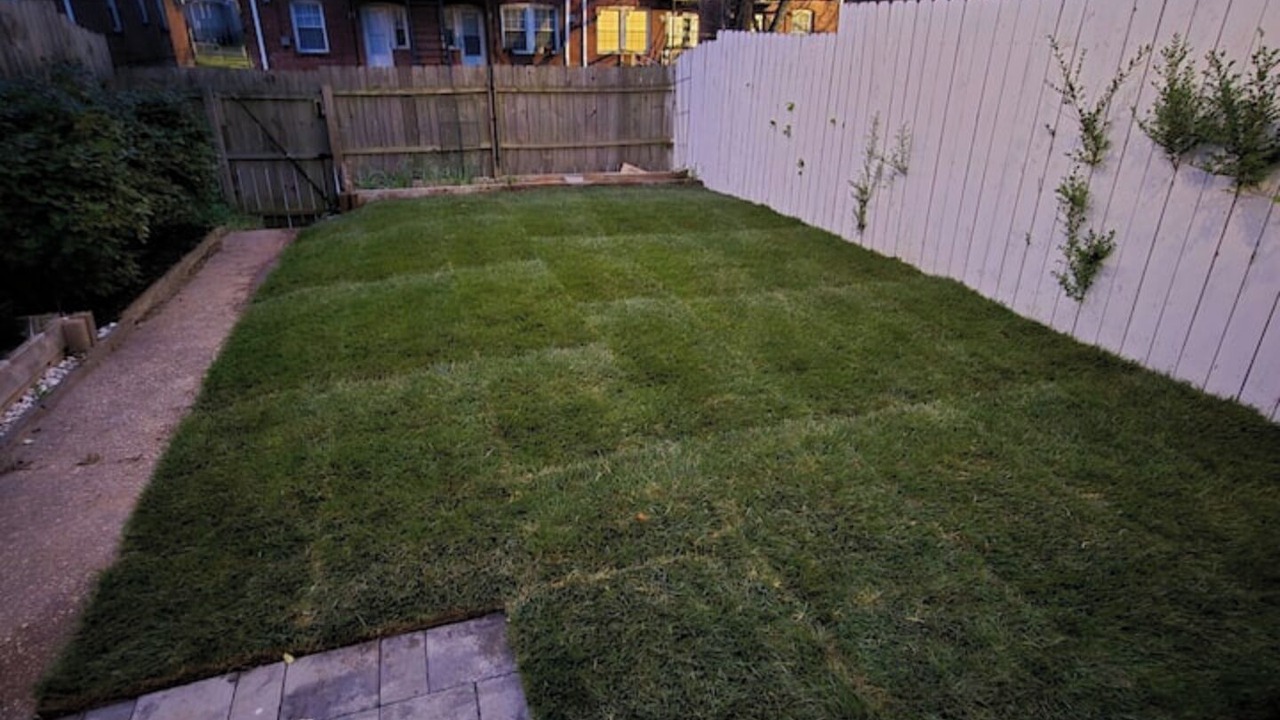 Photo of Outdoor in Lower Central NE