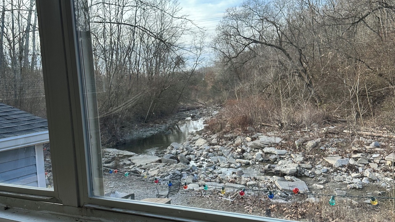 Photo of Others in Latonia