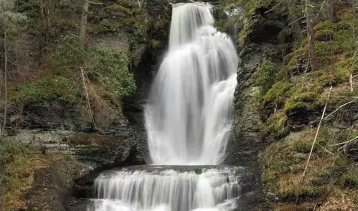 Photo of Others in Bushkill