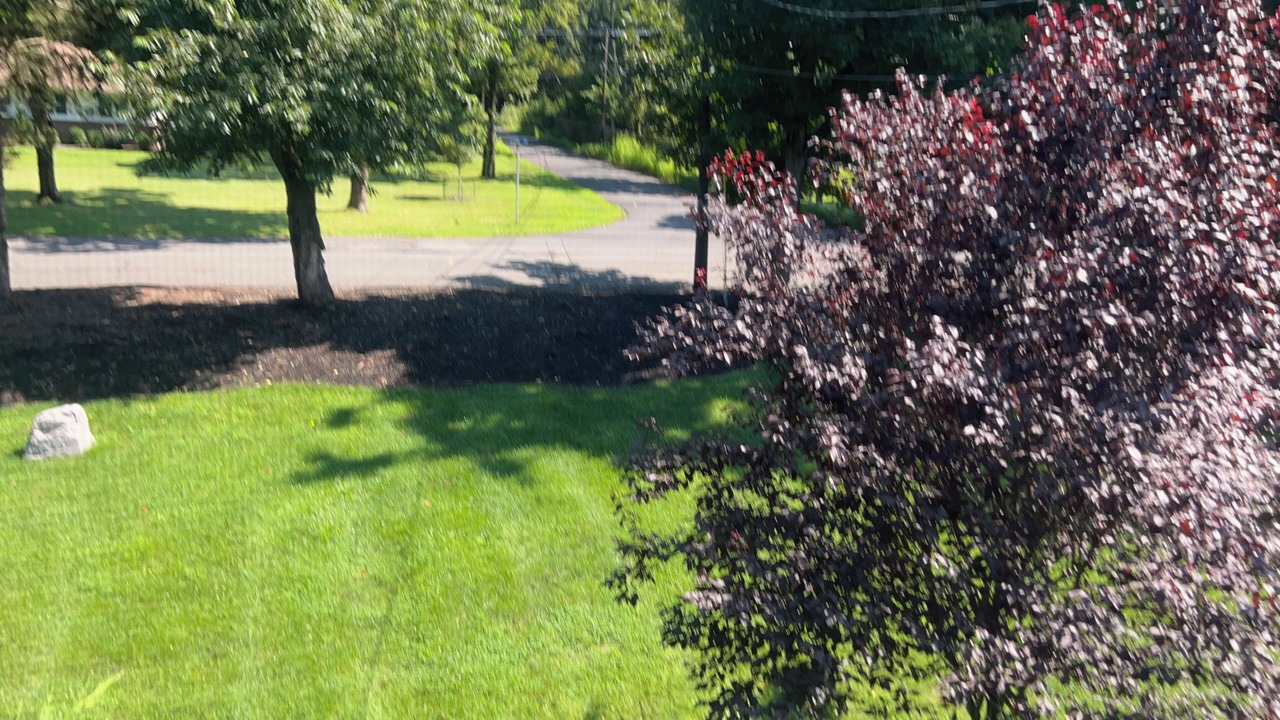 Photo of Outdoor in Belle Mead