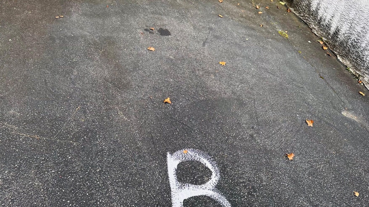 Photo of Outdoor in Broomall