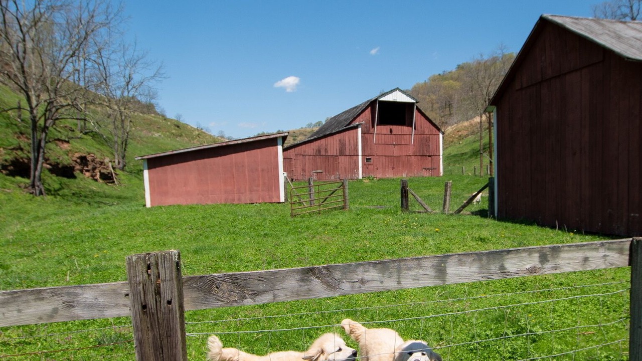 Photo of Outdoor in Gay