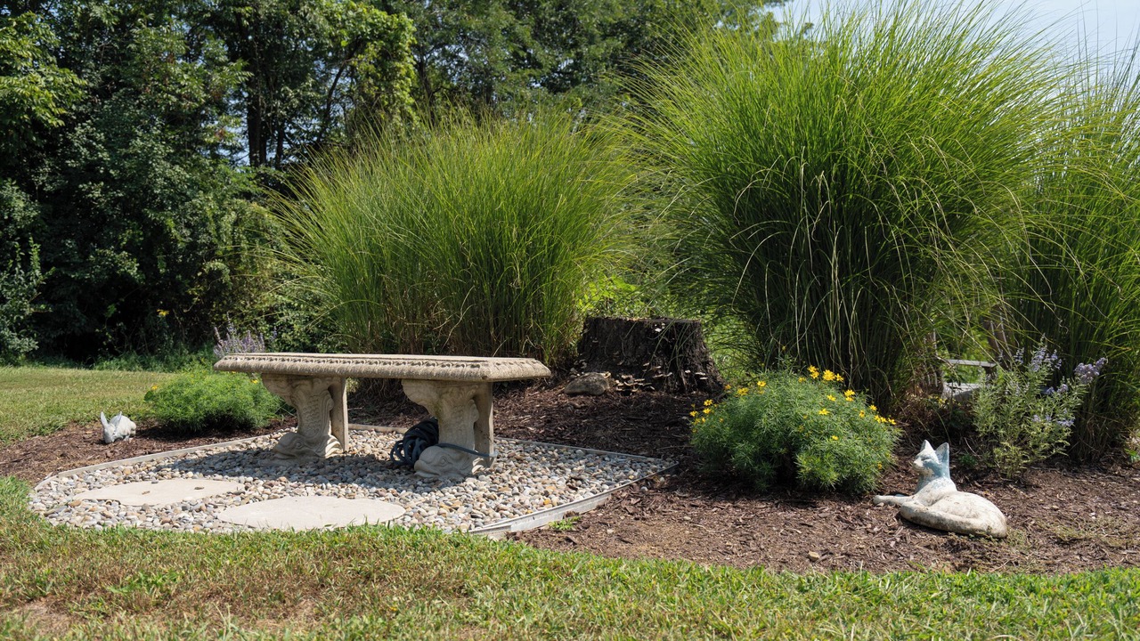 Photo of Outdoor in Warwick