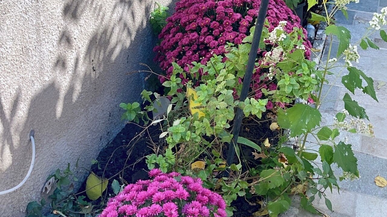 Photo of Outdoor in Belleville