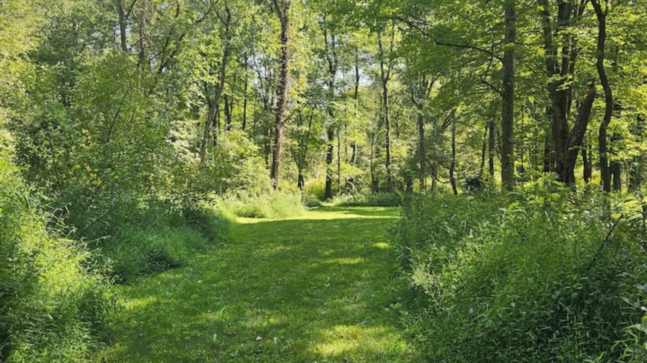 Photo of Outdoor in Slippery Rock