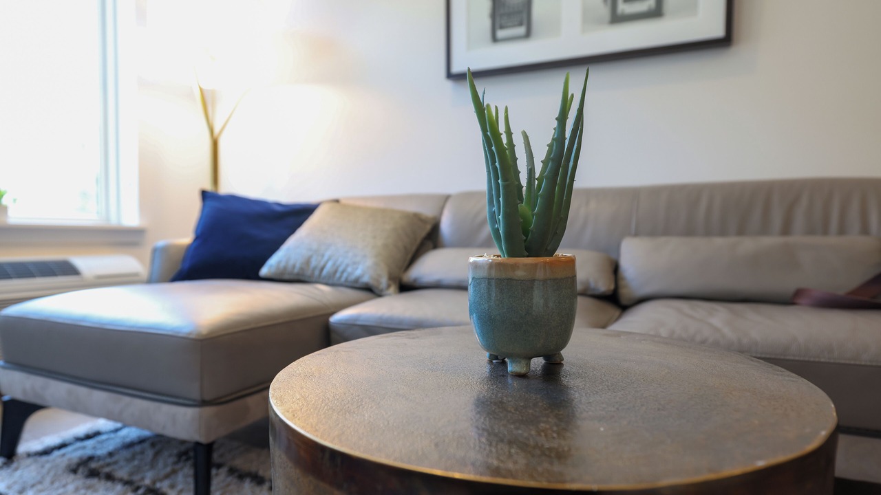 Photo of Livingroom in Rochelle Park