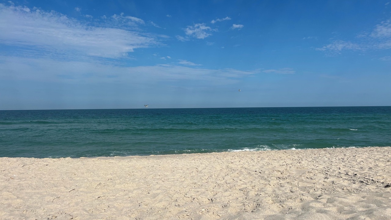 Photo of Others in Normandy Beach