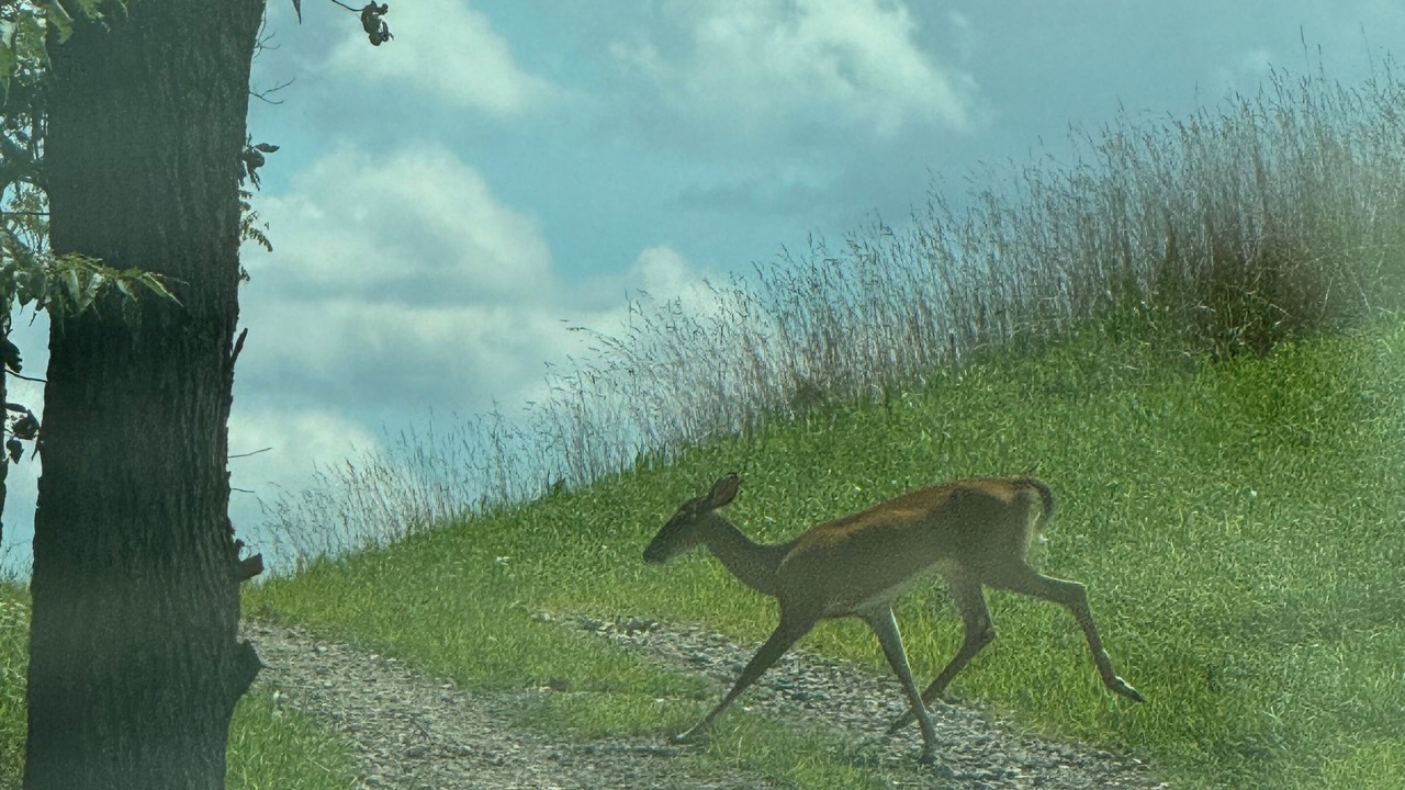 Photo of Others in Halifax