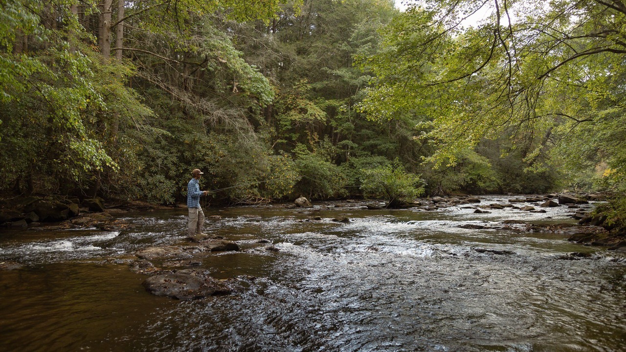 Photo of Others in McCaysville
