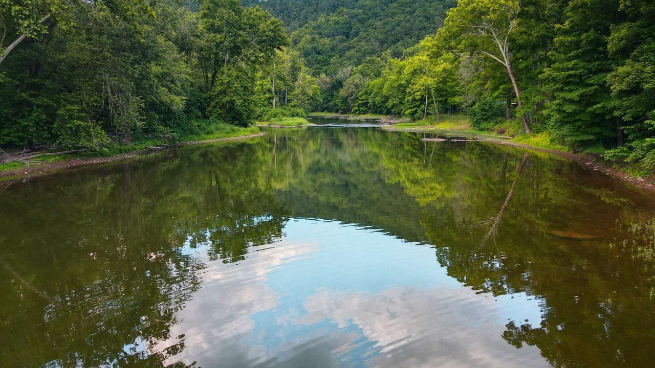 Photo of Others in Great Cacapon