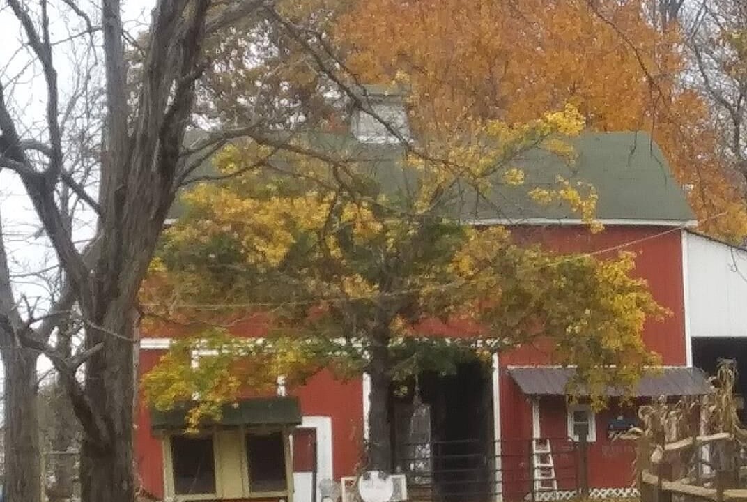 Photo of Others in Natrona