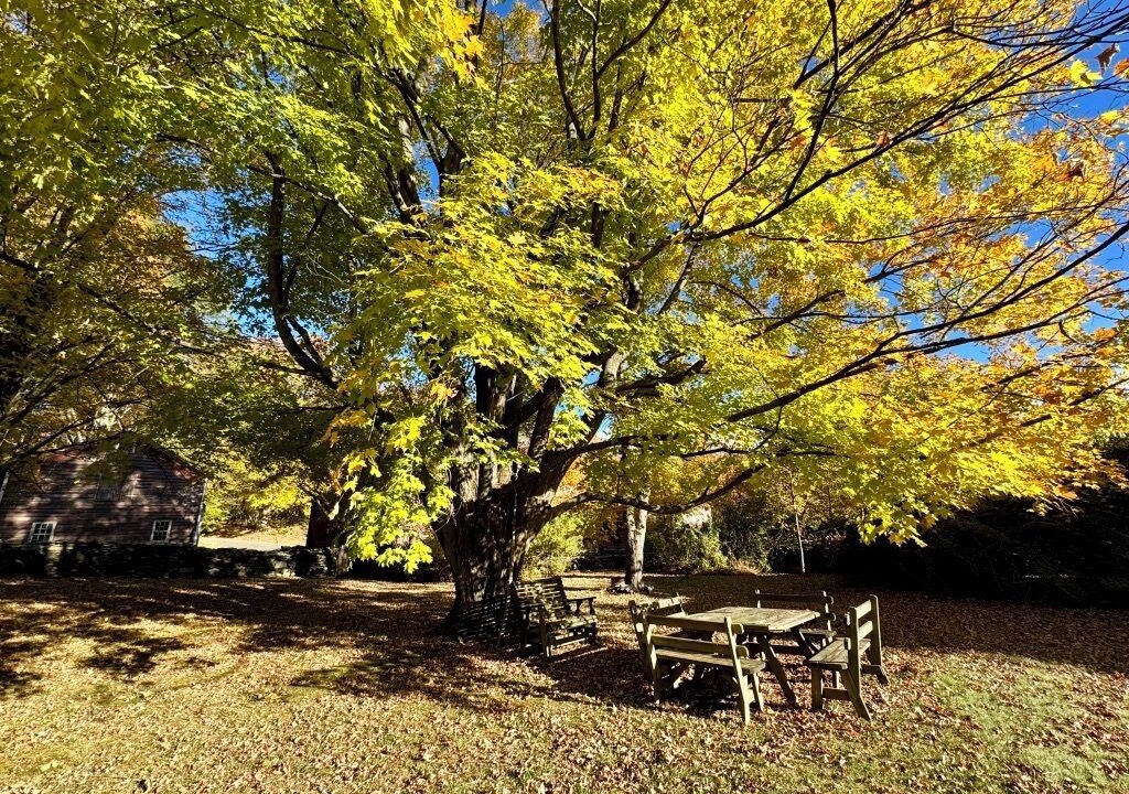 Photo of Outdoor in Red Hook