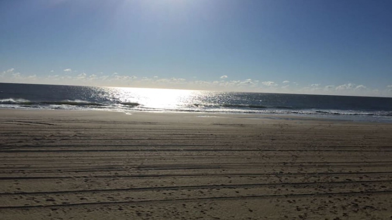 Photo of Others in Beach Haven