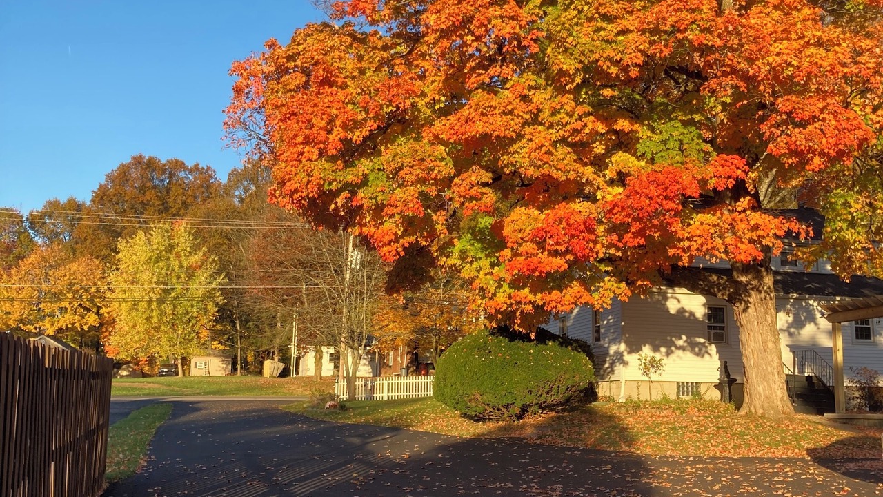 Photo of Outdoor in Boardman
