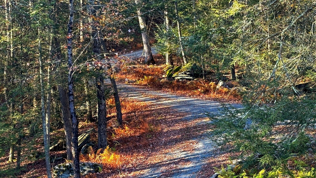 Photo of Others in Pond Eddy