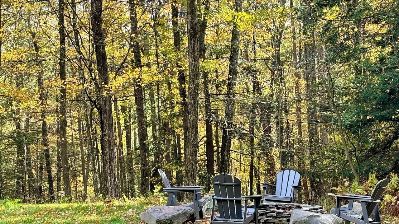 Photo of Others in Pond Eddy