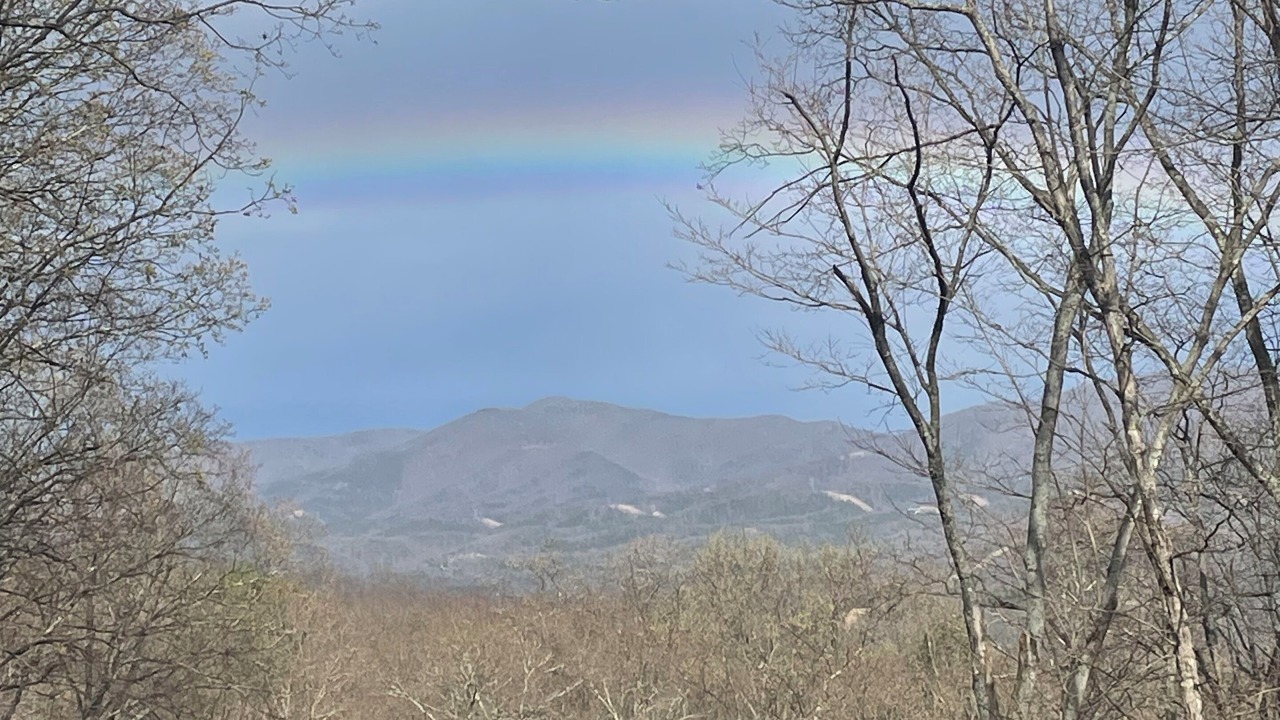 Photo of Outdoor in Upper Tract
