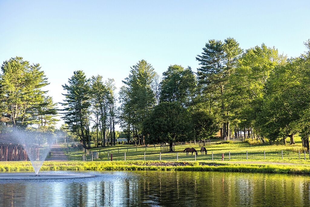 Photo of Others in White Lake