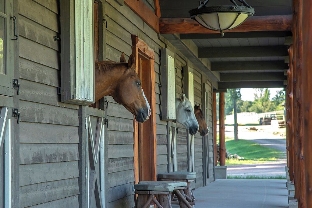 Photo of Outdoor in White Lake