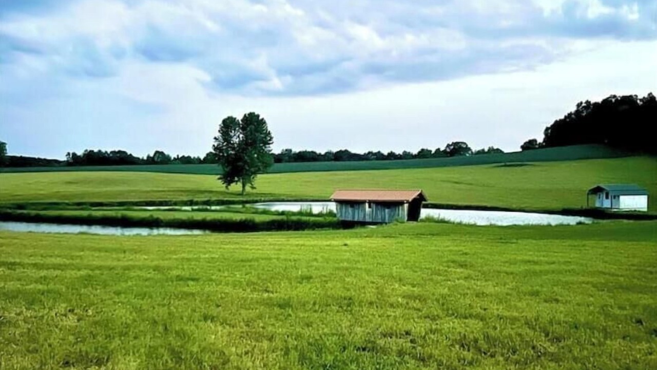 Photo of Others in Minford