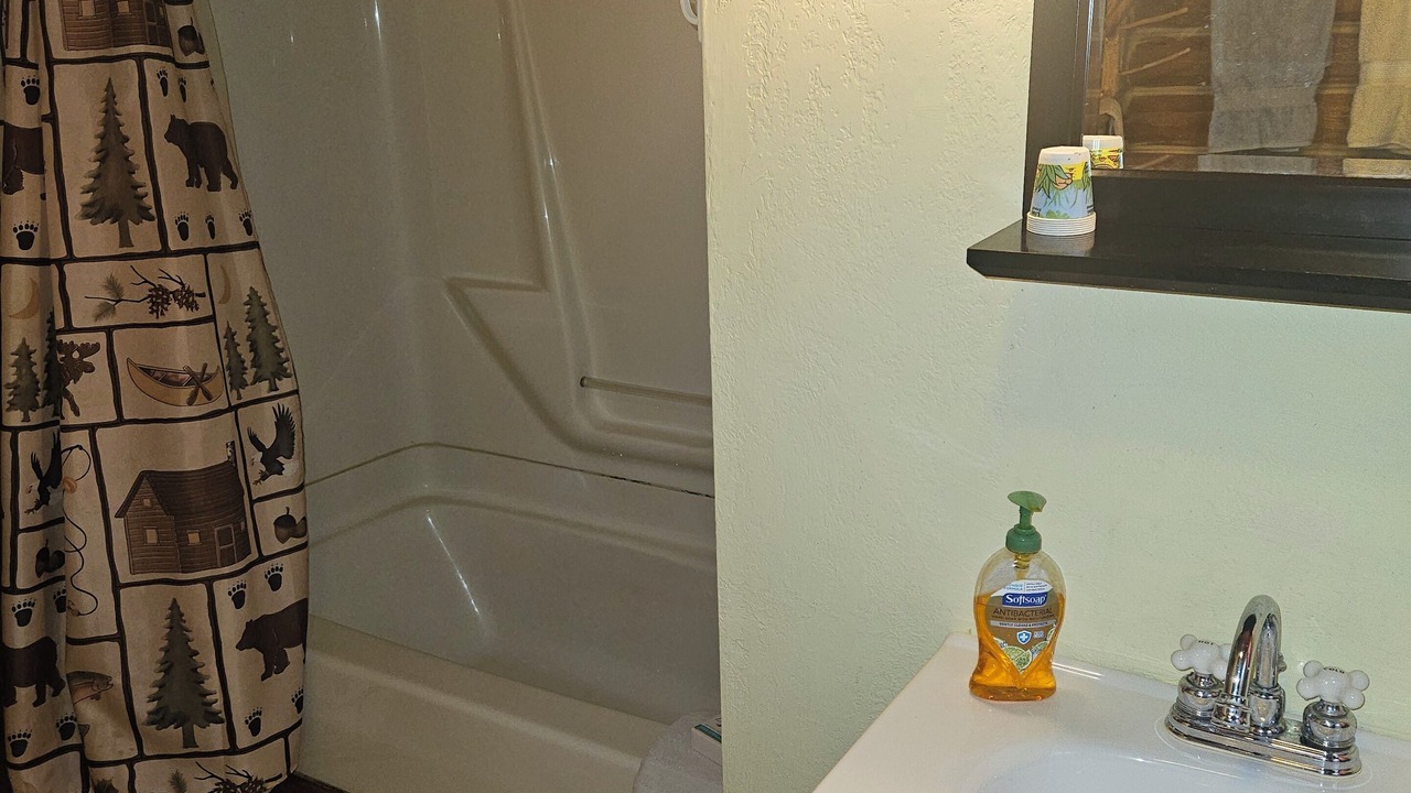 Photo of Bathroom in Slaty Fork