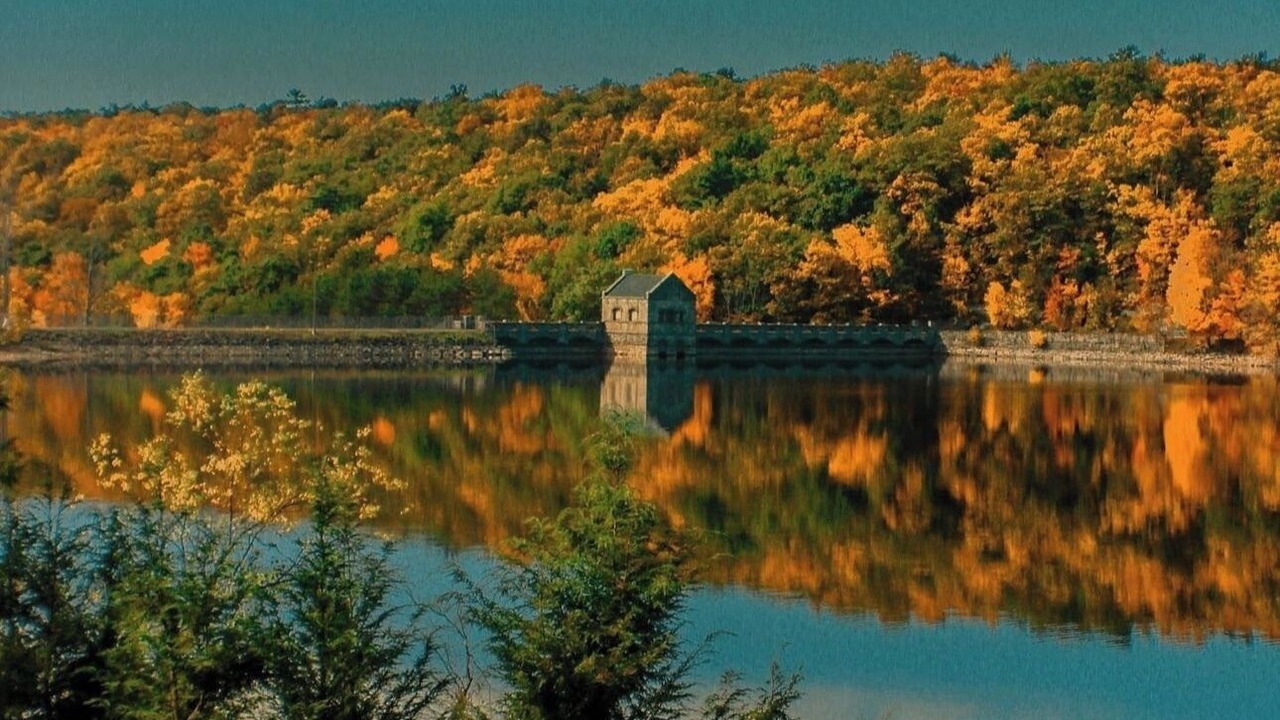 Photo of Others in Scranton