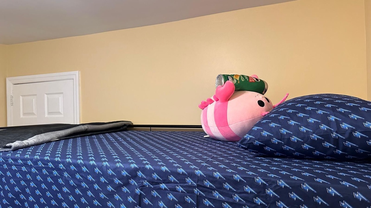 Photo of Bedroom in Weequahic