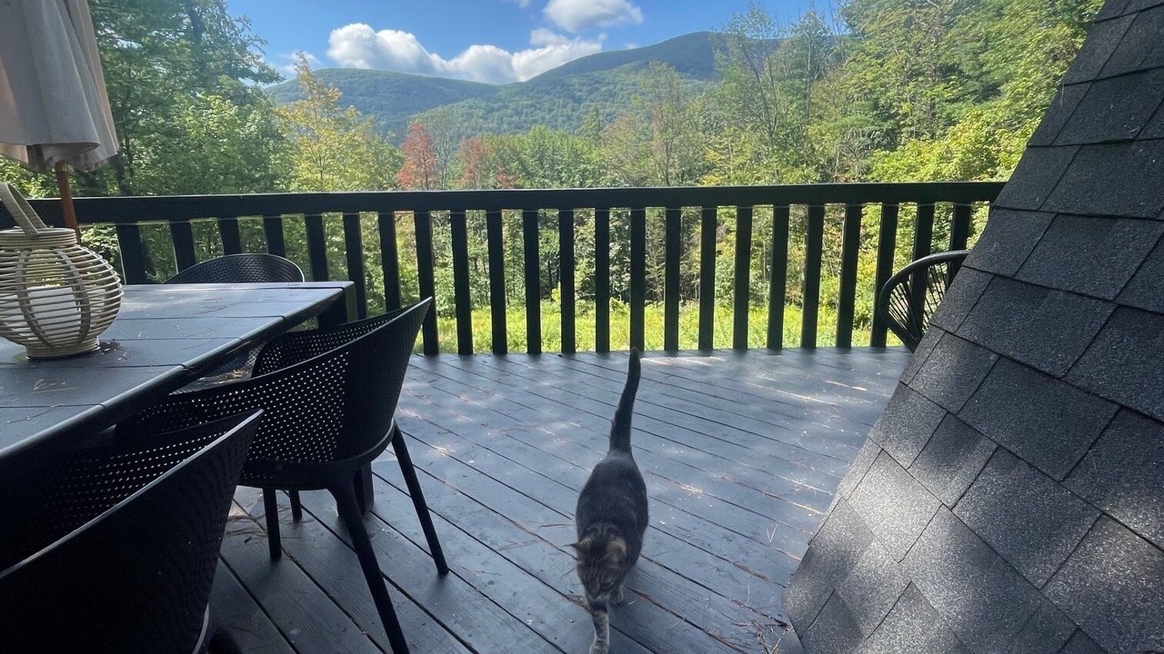 Photo of Outdoor in Mount Tremper