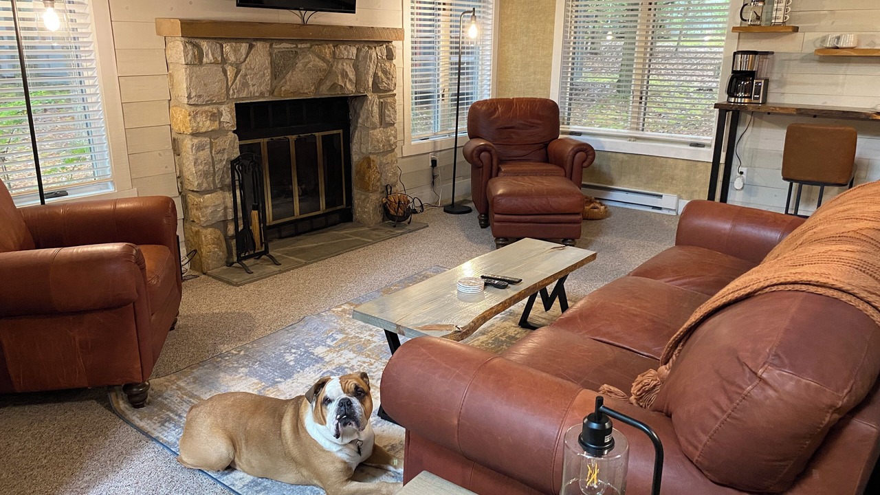 Photo of Livingroom in White Haven