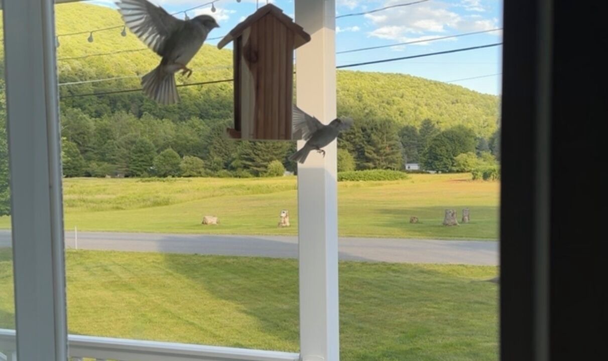 Photo of Outdoor in Jamison City
