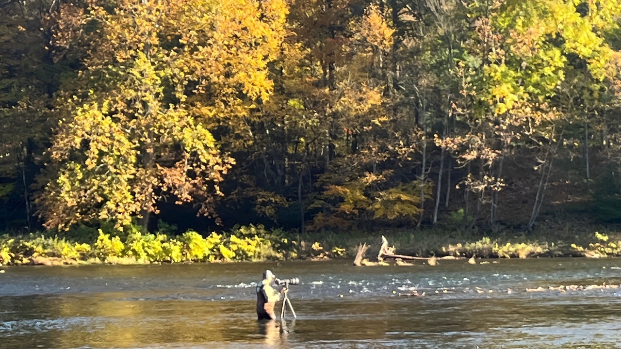 Photo of Others in Hancock