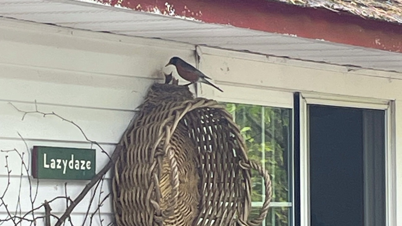 Photo of Outdoor in Barryville