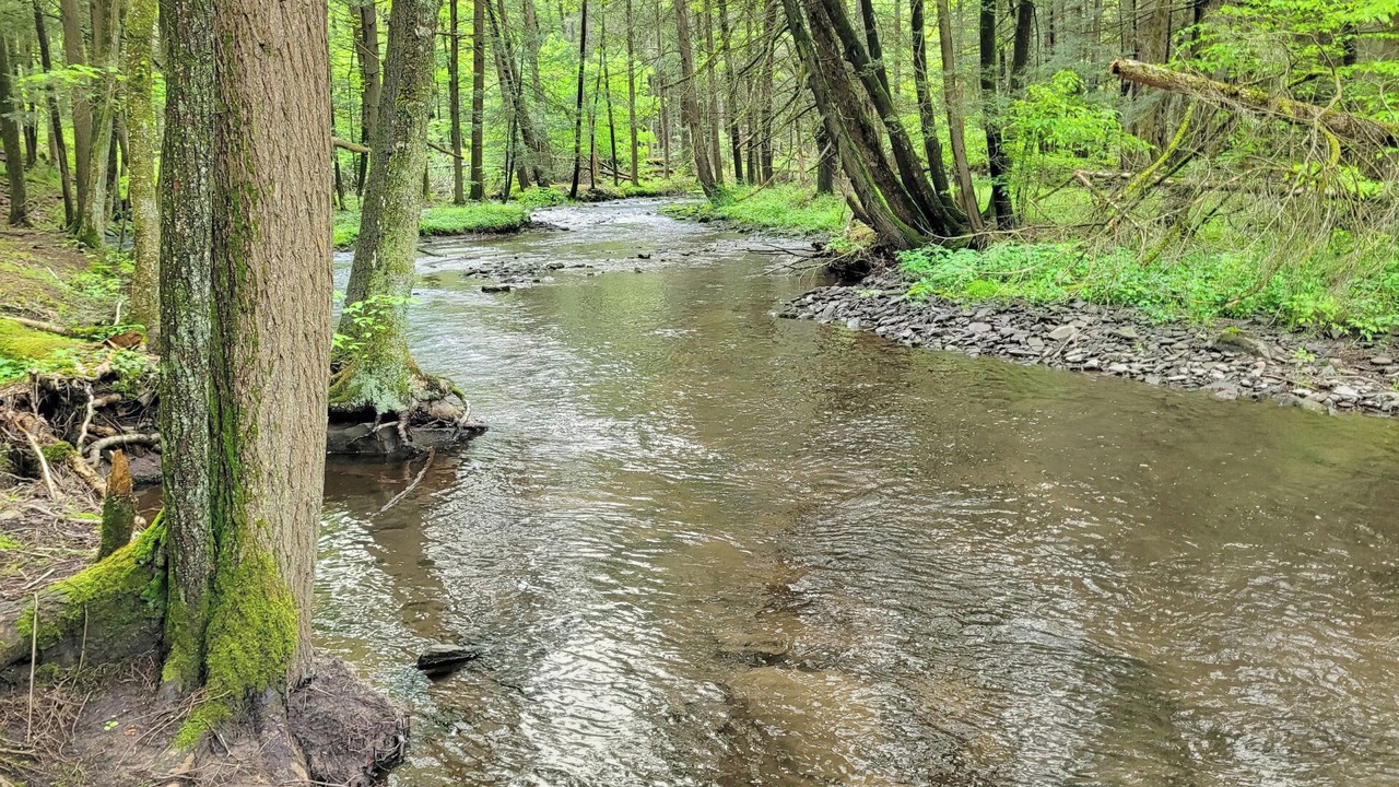 Photo of Others in Milford