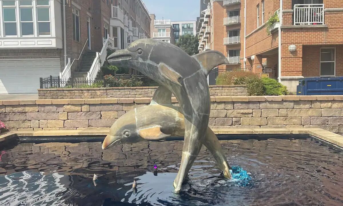 Photo of Outdoor in Inner Harbor