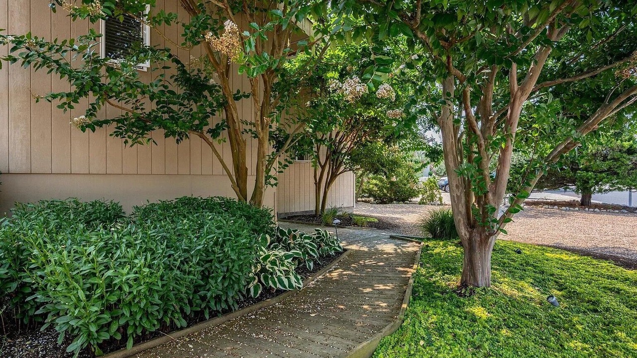Photo of Outdoor in Loveladies