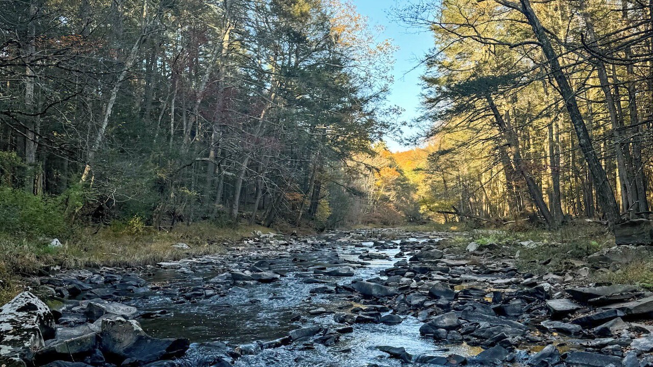 Photo of Others in Mount Marion