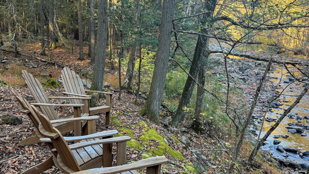 Photo of Outdoor in Mount Marion