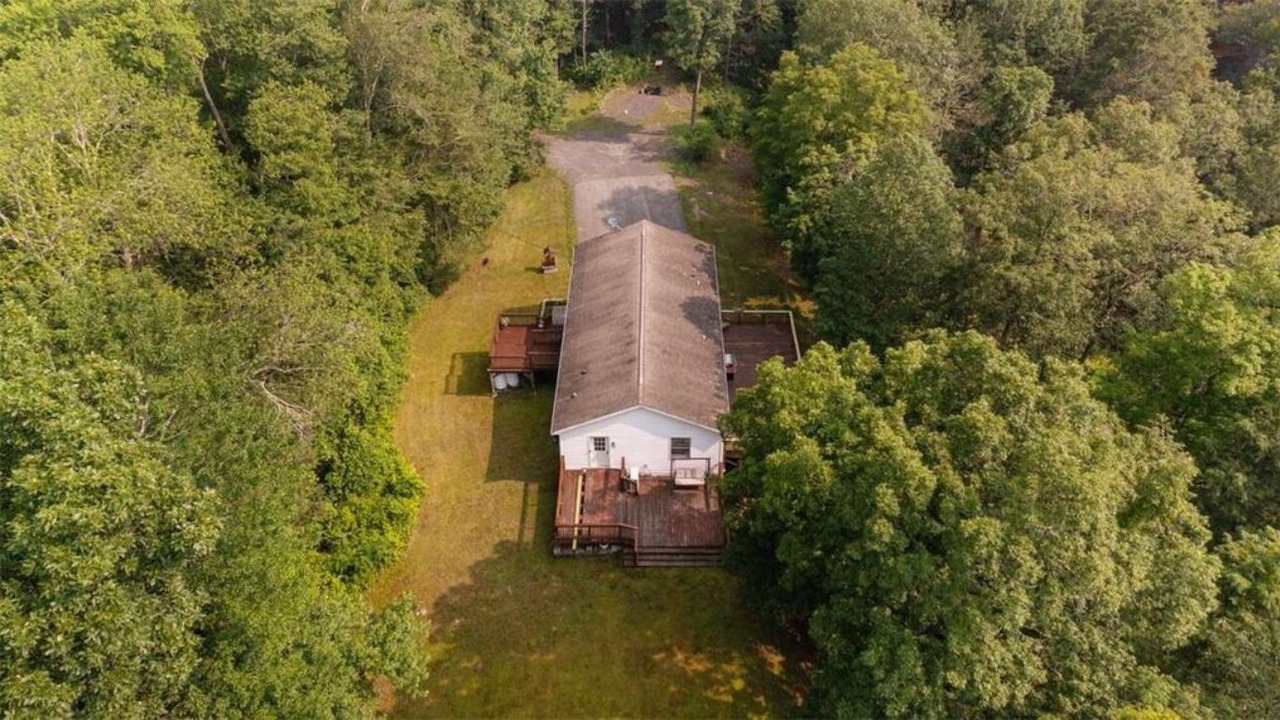 Photo of Outdoor in Mount Marion