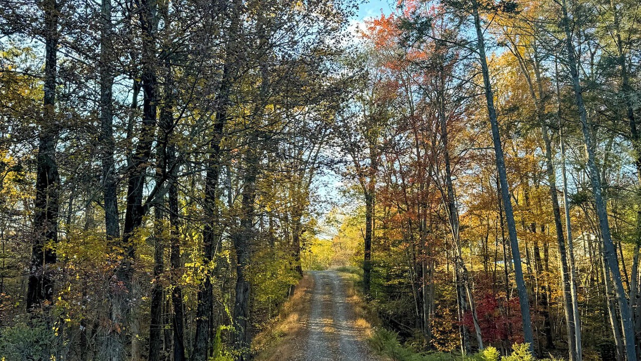 Photo of Others in Mount Marion