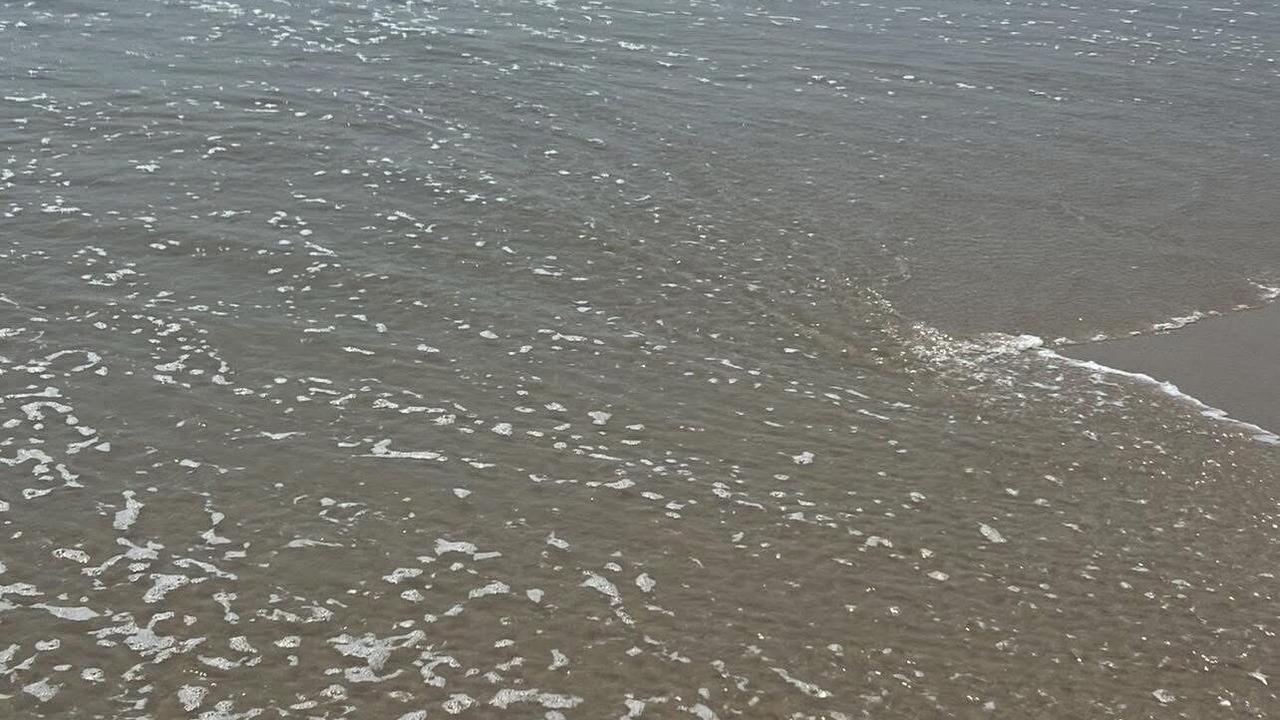 Photo of Others in Beach Haven West
