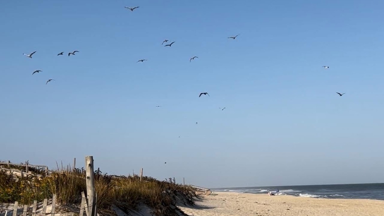 Photo of Others in Beach Haven West